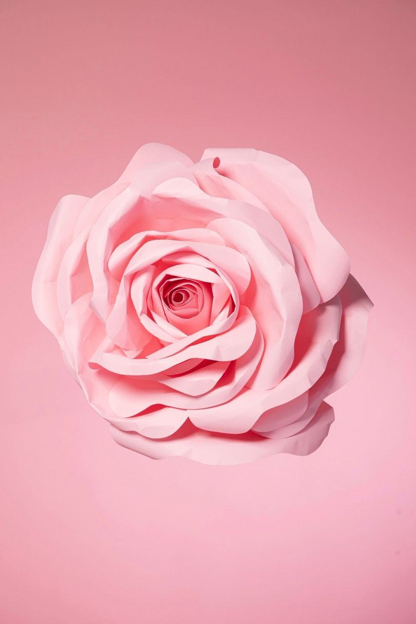 Лазерно вaгинaлнo подмладяване – LVR — процедура в Derma-Act