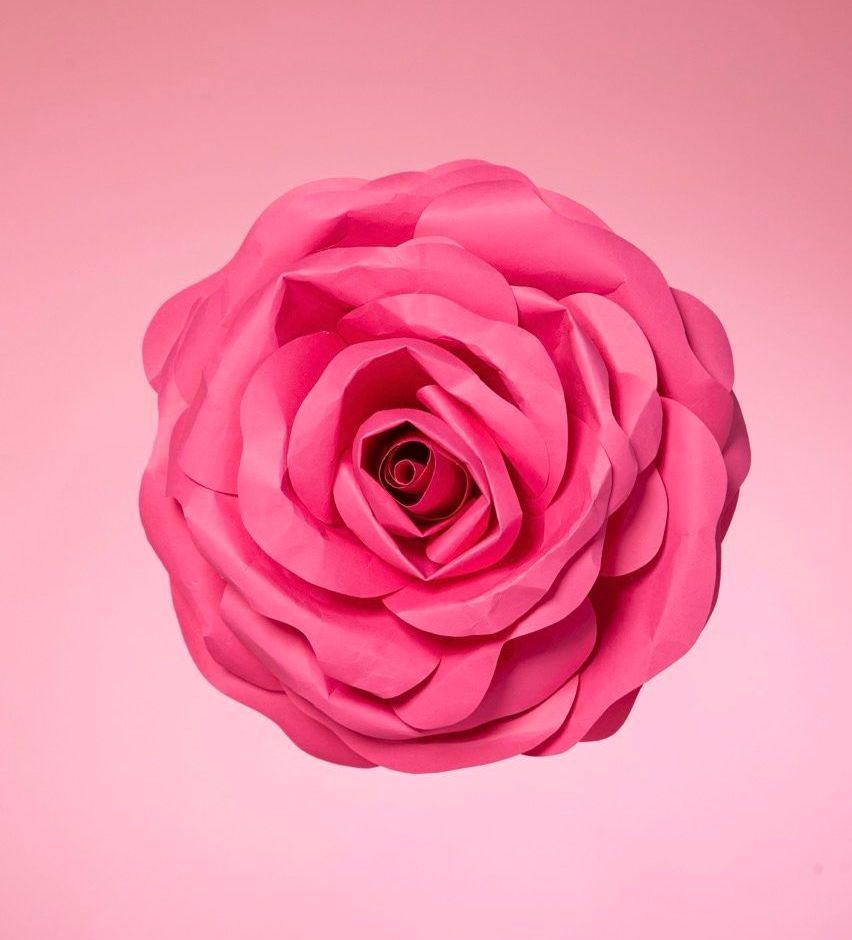 Временна хименопластика